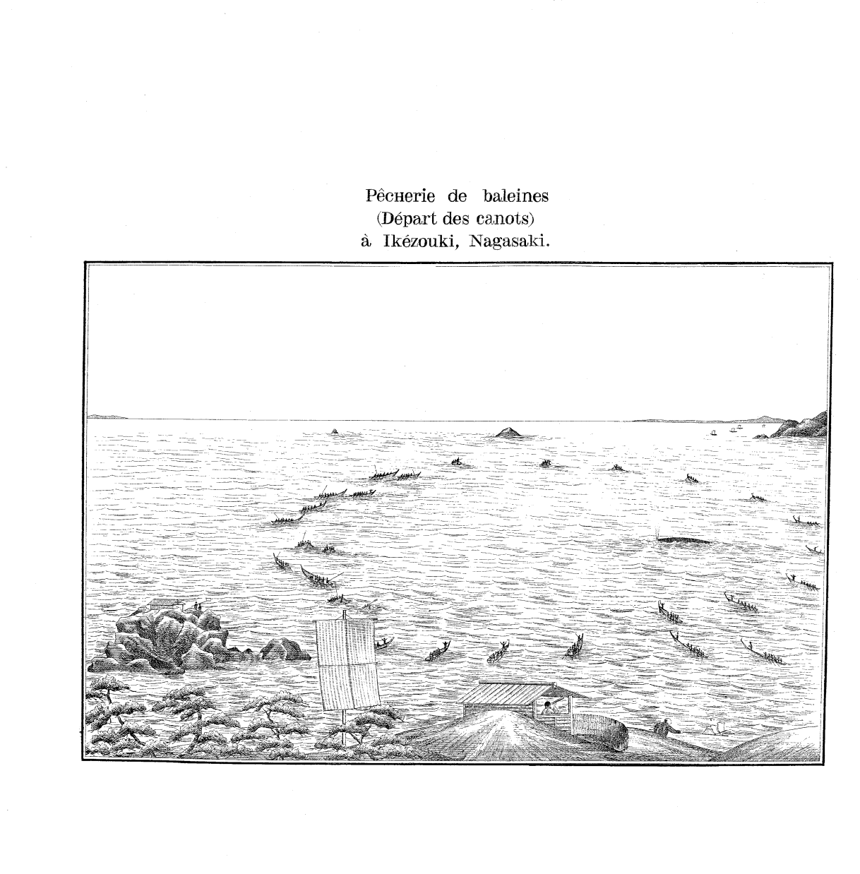 8XAE453 : 0 - vue 104/189