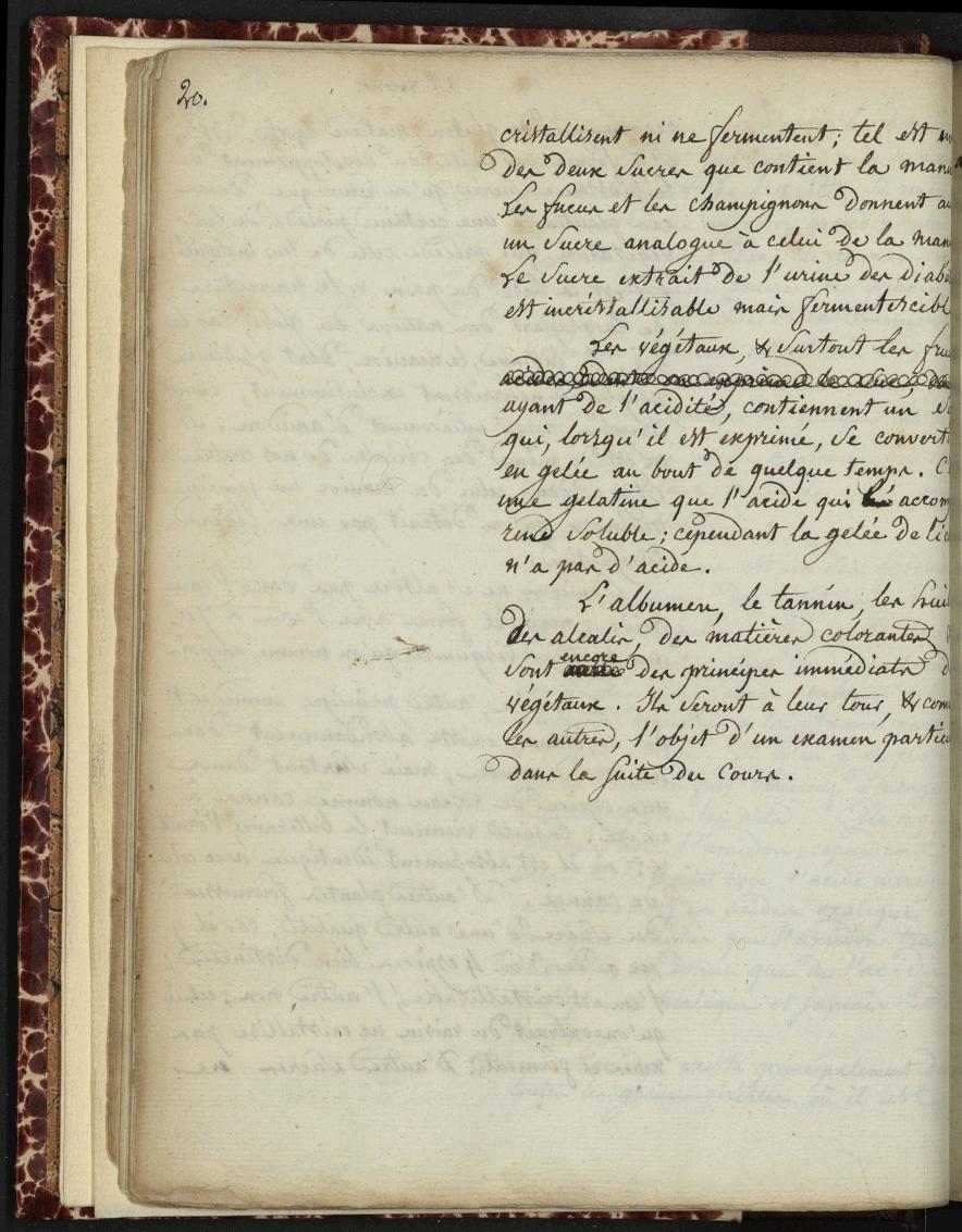 lacune MS148 :13v