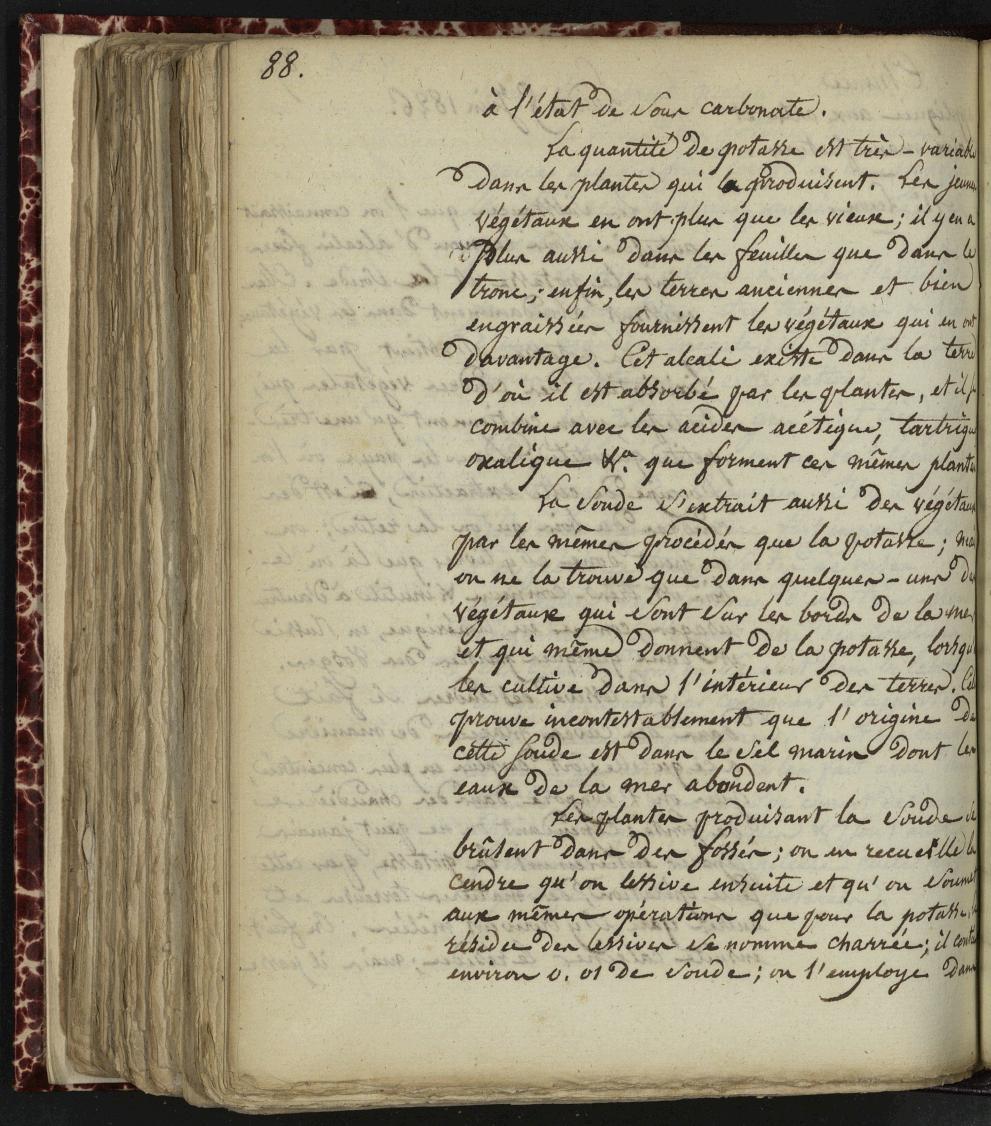 MS148 : 231v - vue 462/620