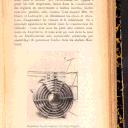 81