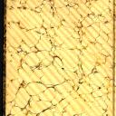 vignette de la page de titre de P228.29