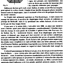 116