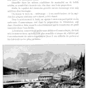 293