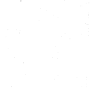 n.n.