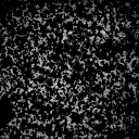 vignette de la page de titre de PTFOLLA13.2