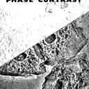 Vignette de la page de titre du M9843.2