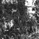n.n.